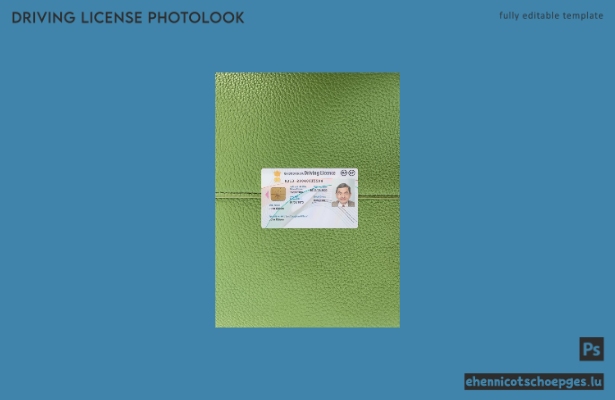 Indischer Führerschein (neue Version) – Fotoansicht (Vorschau)